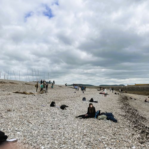 Beach profiling