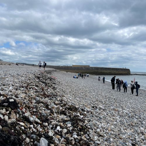 Geography Field Studies